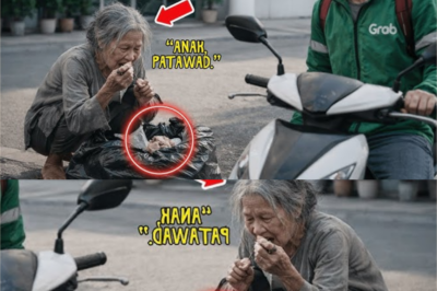 Pinagtawanan ang Lola Bilang Baliw—Pero Siya ang Nawawalang Ina ng Isang CEO!