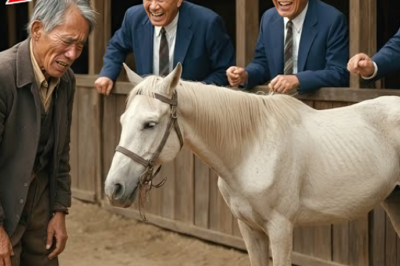 Isang Milyonaryo ang Nagregalo ng Walang Silbing Kabayo sa Pulubi… at Labis na Nagsisi…