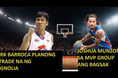 MARK BARROCA PLANONG ITRADE NG MAGNOLIA MUNZON TO MVP GROUP